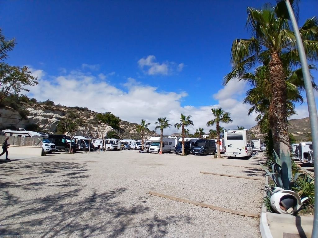 img-20250318-wa00125092188017319364998