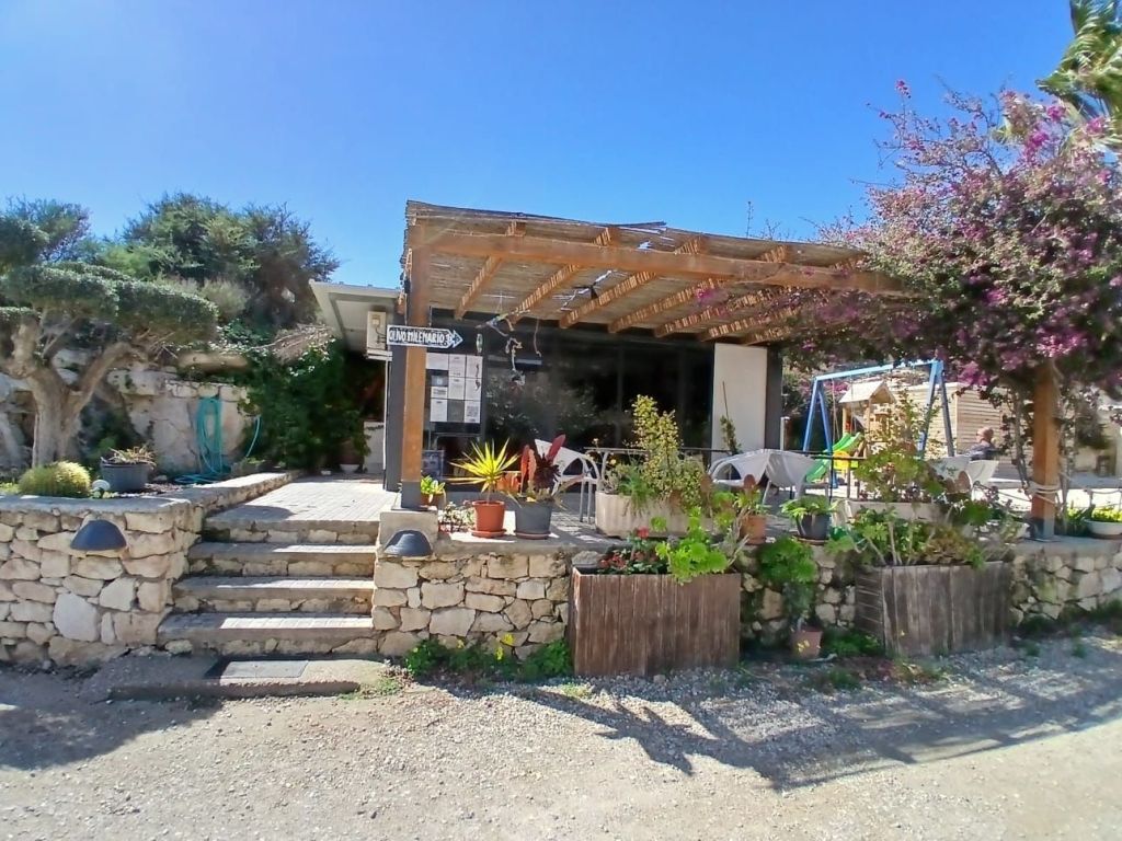 img-20250318-wa00131982351947374946076