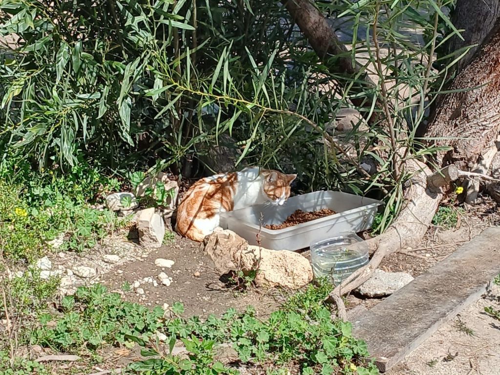 img-20250318-wa00295191321186469700593