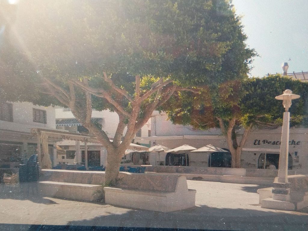 img_20250318_1529045342573325778549718